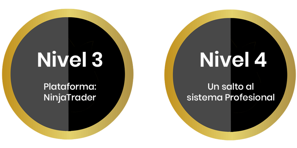 Niveles 3 Plataforma: NinjaTrader y Niveles 4 Un salto al sistema profesional